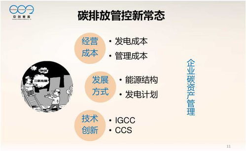 大型控排企業碳資產管理體系構建與資本管理