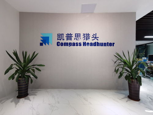 廣東凱普思企業管理咨詢 賦能企業，驅動卓越成長