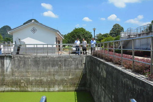 縣城市管理監督局深入葡萄鎮污水處理廠開展調研工作，聚焦智慧管理與綠色發展